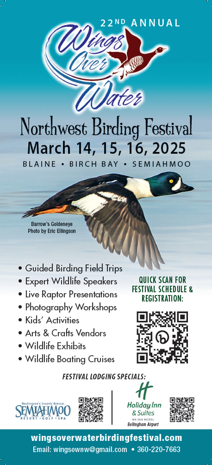 Birding Rack Card The Festival | Wings Over Water | Birding Festival | Blaine