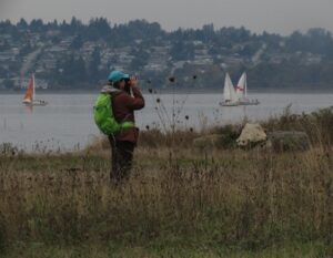 Guided Bird Walk of Semiahmoo Spit