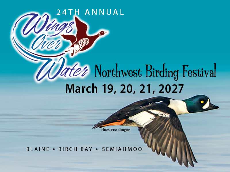 24th Annual Wings Over Water Birding Festival