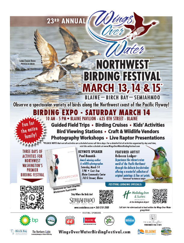 Wings Over Water 2026 Poster